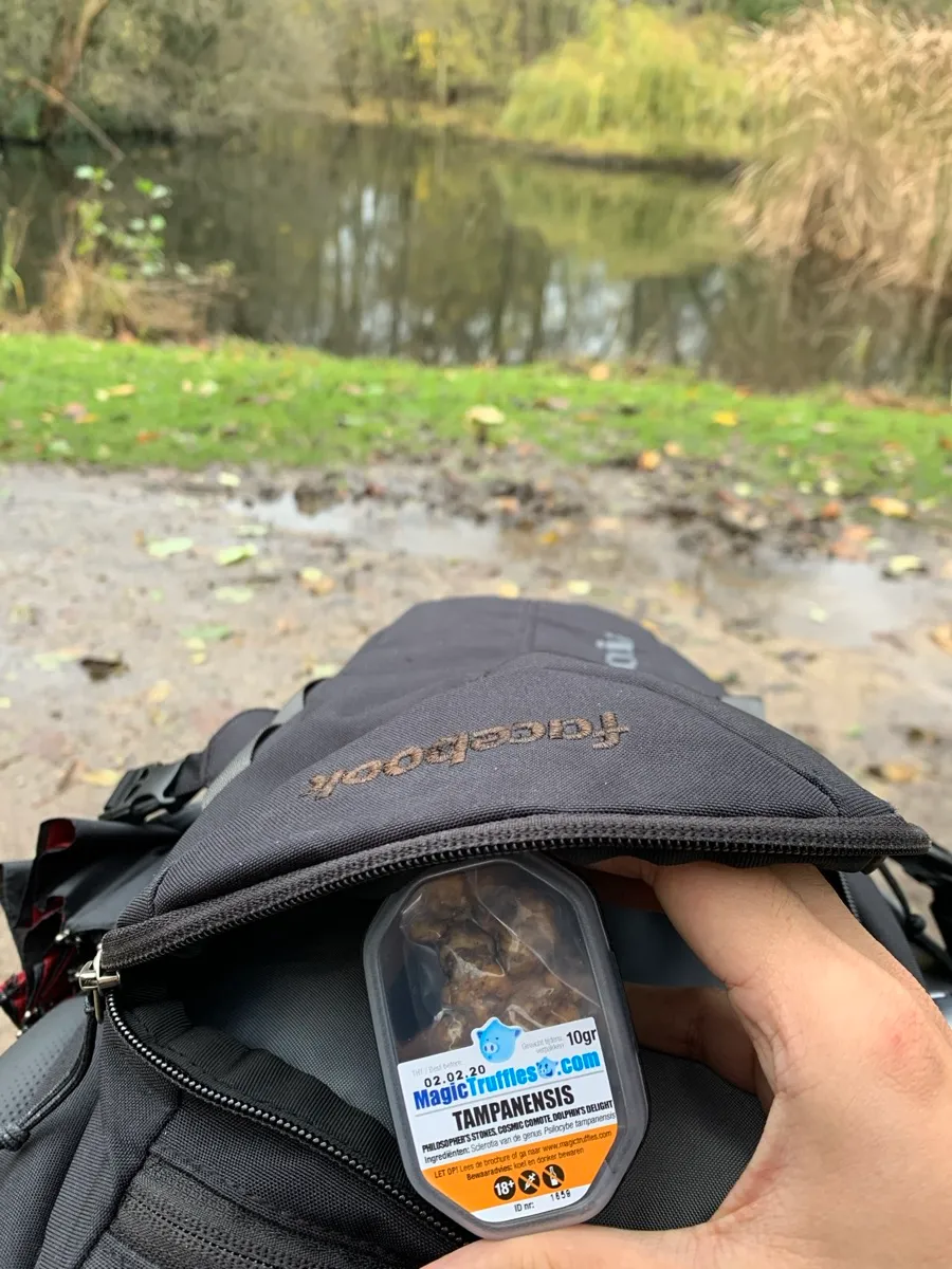 背包裡的 Tampanensis 松露
