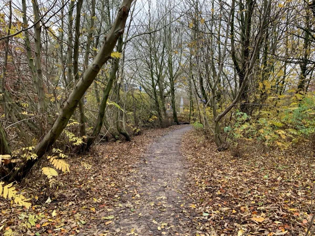 Vondelpark 的小路